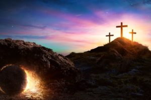 Celebrando el Triunfo de Cristo en el Domingo de Ramos